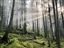 2026 Orcas Island 100 Miler