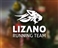 V Lizano Run