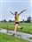 April 12 Ellis startlist