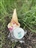2025 Totem to Totem Half Marathon 
