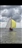 Summer Series 2025 Day 3 Race 2