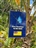 Niue Marathon 2025