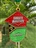 Vanuatu Marathon 2025