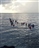 Entri TRIATHLON, August 2025
