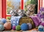 Eurographics - Knitten Kittens - 1000