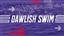 Dawlish_Swim