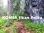KOMIA Ilkan Polku 2025