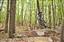 Diamond Hill weeknight enduro 9/6/15