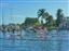 COASTAL PADDLE BOARDING 1 MILE FUN RACE