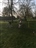 Blackwater Jnr Triathlon April