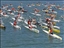 Victoria Series 2013 category