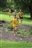 Timona Park Opening Day 