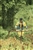 Hikari Monsoon Trail Run 2025
