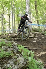 Racer picture