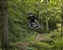 Mikey Swearingen