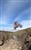 Thomas Sanders herts_motorcyle_centre